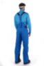 Горнолыжные брюки Stayer мужские 21-22316 21 ярко-синий