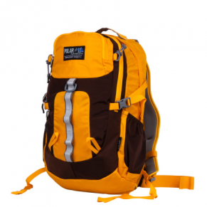 Рюкзак спортивный POLAR 2170 золотой