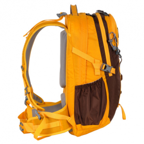 Рюкзак спортивный POLAR 2170 золотой