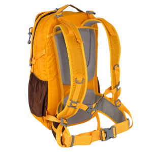 Рюкзак спортивный POLAR 2170 золотой