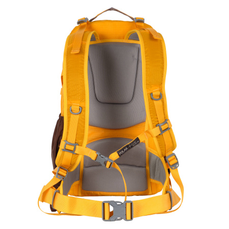 Рюкзак спортивный POLAR 2170 золотой 