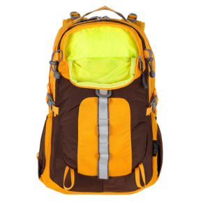 Рюкзак спортивный POLAR 2170 золотой