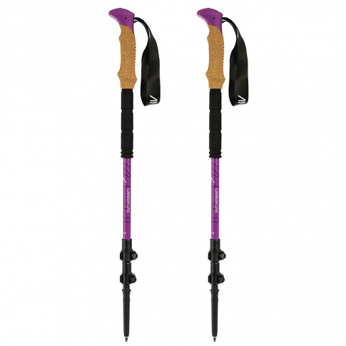 Палки треккинговые GORАА Carbon Lite 